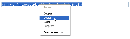 Copier le code