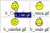 Cliquer sur le smiley que vous avez choisi